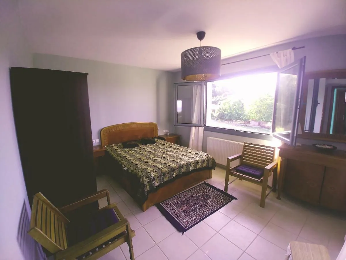 Villa Freebird Vip Bachelor Party & Wedding Events Pefkochori
